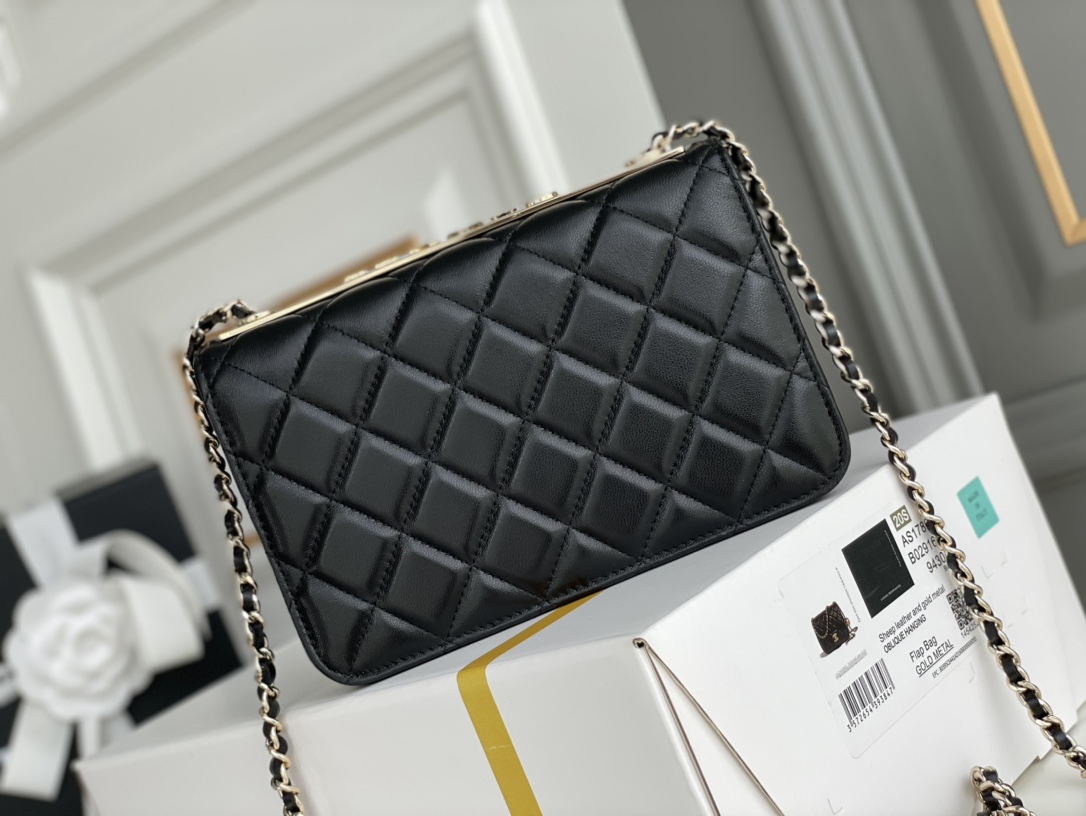 Chanel WOC Bags